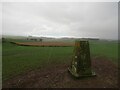 Yellow Hill trigpoint, Fife