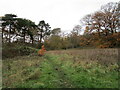 Abandoned field off Clay Lane