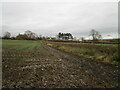 The Firs and Autumn sown field