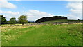 Field path leading north from Belper towards Bessalone