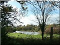 Fishing lake, near Bird Grove Farm