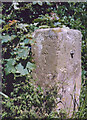 Milestone / Guidepost, No Man