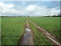 Field access track, Draycott in the Moors