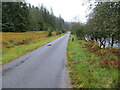 NN2636 : Glen Orchy - Road (B8074) between the River Orchy and woodland by Peter Wood