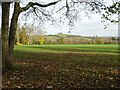 Ashleworth cricket field