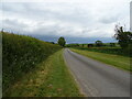 Pinfold Lane into Swaby