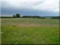 Crop field near Belleau