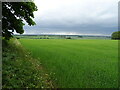 TF3979 : Crop field, Belleau by JThomas