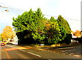 Evergreen corner of Ponthir, Torfaen