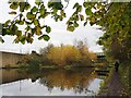 Shirland Lane winding hole