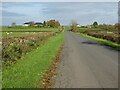 Road approaching Tirley Knowle