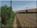 The Centenary Way approaches Tunnel Road