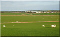 Farmland near Alves