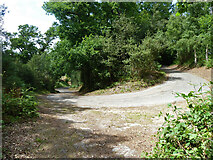 TQ0018 : Hairpin bend on Hesworth Common Lane by Robin Webster