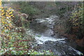 Afon Lwyd below Hospital Road Bridge, Pontnewynydd