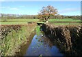 Flooded track leading to Castle Wood