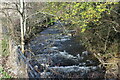 Afon Lwyd above footbridge, Fairview Court