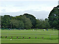 SE2337 : Summer evening cricket match, Horsforth Hall Park by Stephen Craven