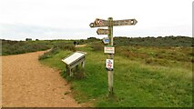 TF6943 : Junction of Peddars Way & Norfolk Coast Path at Holme next the Sea by Colin Park