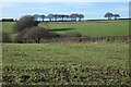 Farmland, Gerrans