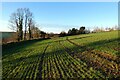 Farmland, Veryan