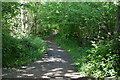 Round Bewl Water path