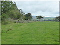 The Pennine Bridleway near Ing Lane