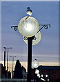 TA0928 : Lamps by Prince's Quay, Hull by Paul Harrop