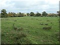 Farmland on the south side of Red Brook