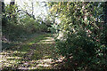 Footpath towards Ferry Lane, Goxhill