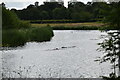 Openwater Swimmers, Jubilee River