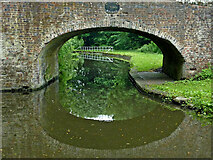 SO8480 : Canal at Austcliff Bridge near Caunsall, Worcestershire by Roger  D Kidd