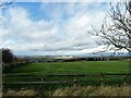 NZ1152 : View over field beside Medomsley Road by Robert Graham