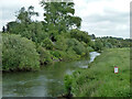 River Arun downstream of Pulborough Swan Bridge