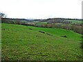 Hillside, above Red House Farm