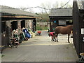 Livery Yard, Rising Sun Farm