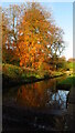 Leat & autumn colours below dam at Rudyard Reservoir, Staffordshire