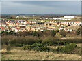 Housing Development near Rising Sun Country Park