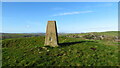 SK1154 : Trig Point on Wetton Low by Colin Park