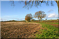 Footpath from Padbury Brook to Gawcott