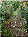 Footpath, Barton