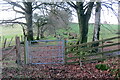 Hen heol ger Llansawel / An old road near Llansawel