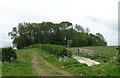 Farm track (bridleway) off the A157