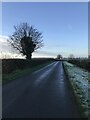 Banbury Lane near Cold Higham