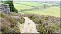 Above Oxenhope