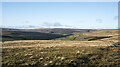 NY9540 : Grassy moorland on Crow Coal Hill by Trevor Littlewood