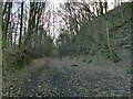 Old railway cutting in Milner Woods