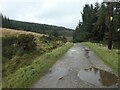 SK1689 : Bridleway on the track to Lockerbrook Farm by Christine Johnstone