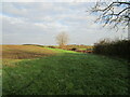Field edge near Elston
