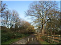 Footpath to Winthorpe